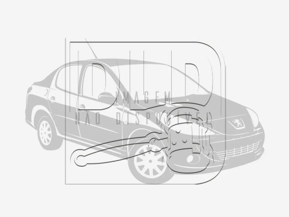 LOTE 001 - Peugeot 207